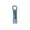 Panduit Ring Terminal, #8 Stud Size, 14 AWG, 600 V, Heat Shrink Insulated, Blue, 25 PK PH14-8R-Q - alternate 1